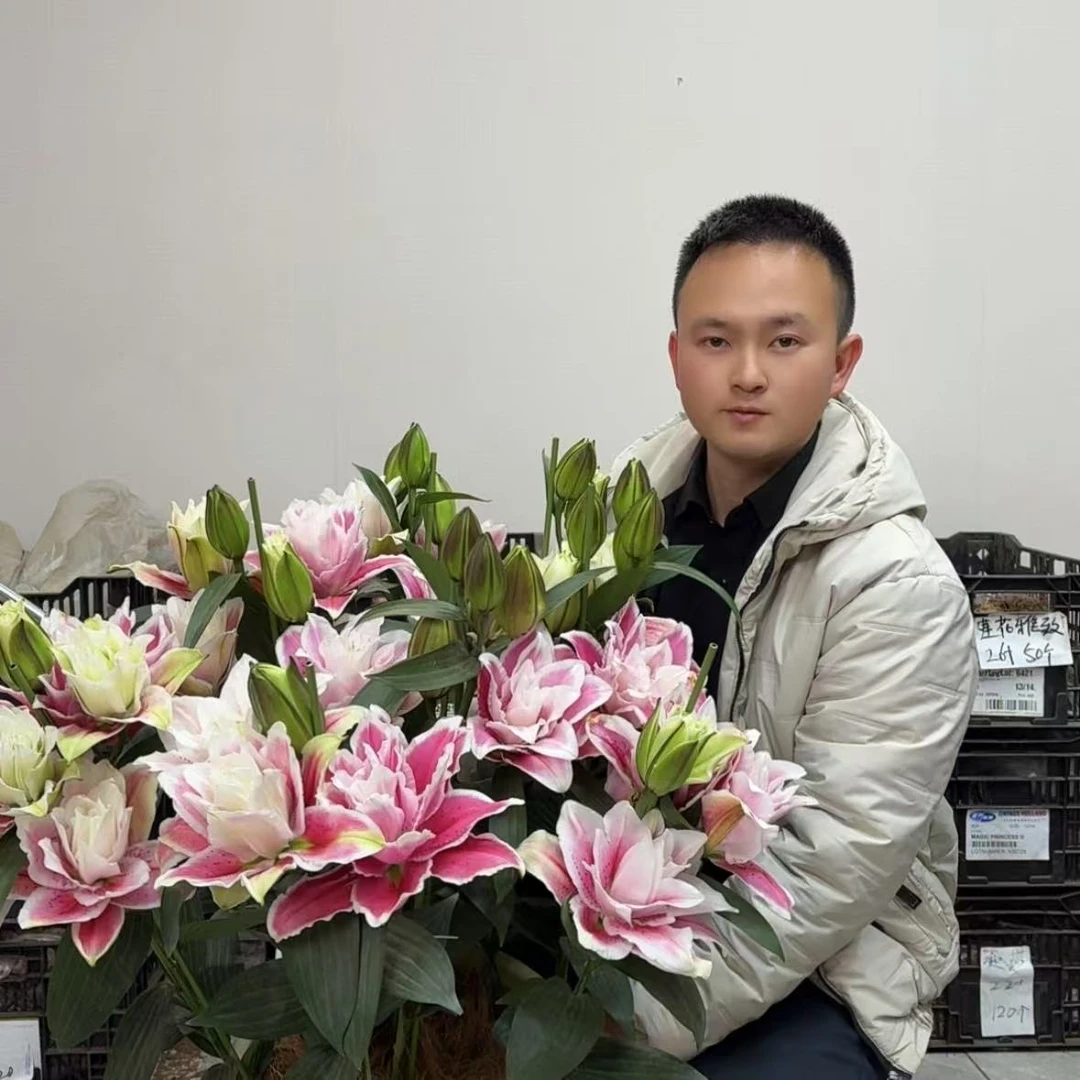 火星之恋1颗《重瓣香水百合》栽培阳台庭院带来美好的居家感受