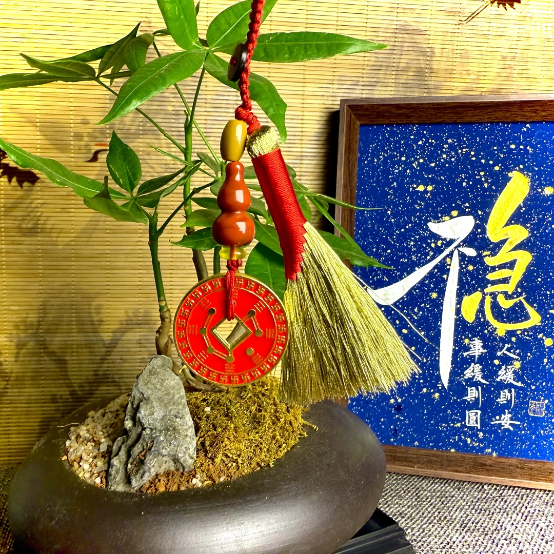 九星万能钱扫把【福财双至】【化解太S】【防小人】