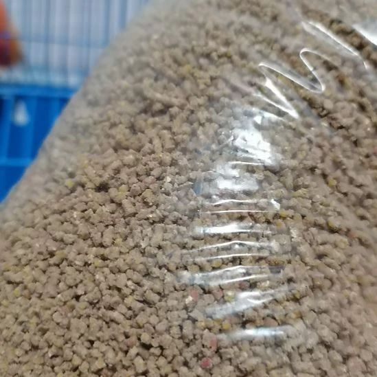 文鸟鸟粮一起发福利多多福利