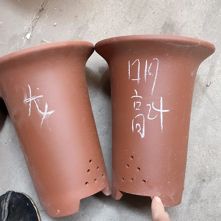 红陶紫砂紫砂紫砂