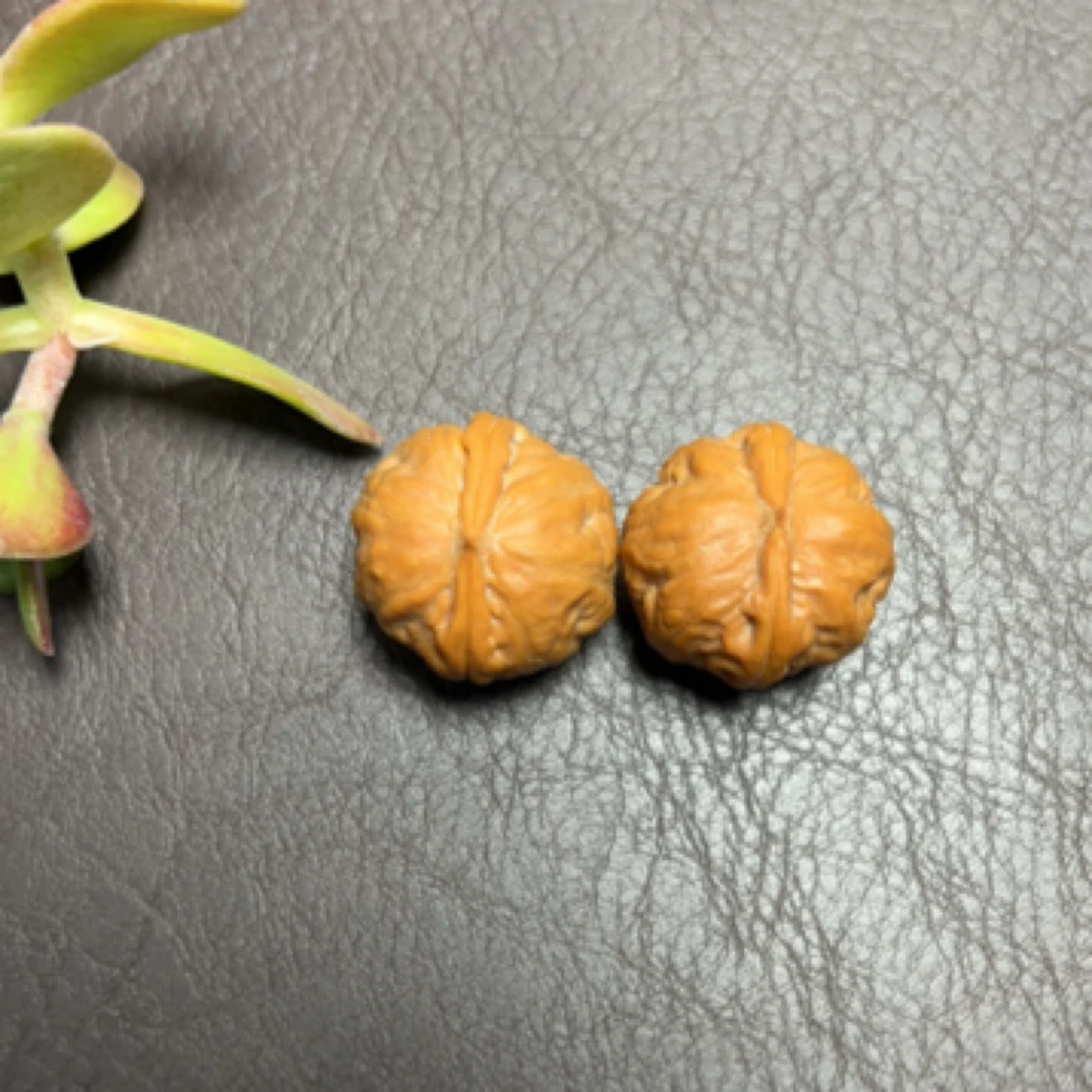【红皮官帽】秋子小手捻文玩核桃圆润小手捻核桃饱满