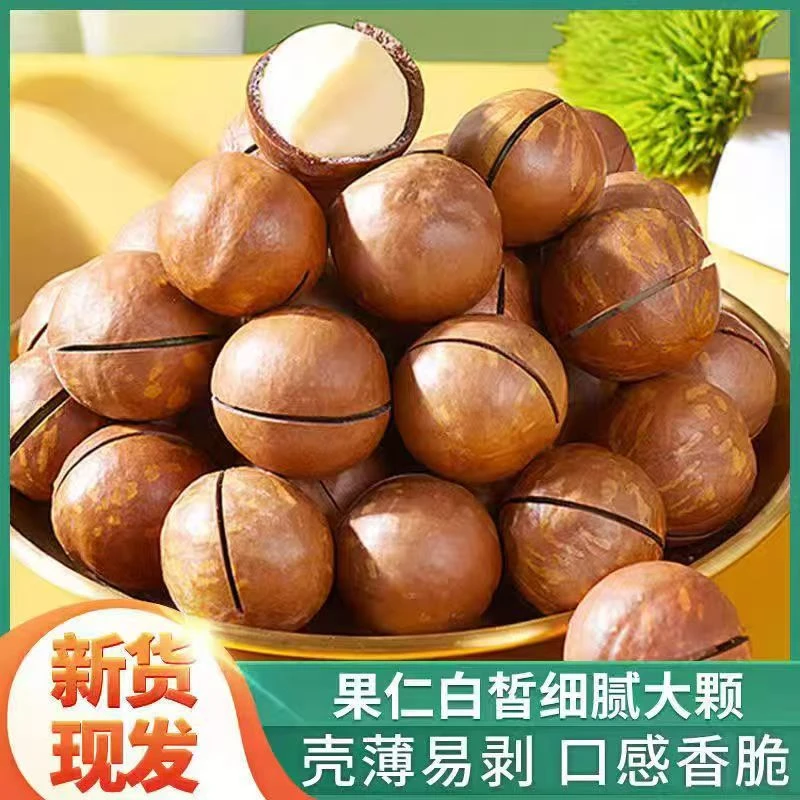 2025新货大颗粒奶油味夏威夷果新货坚果休闲零食干果A