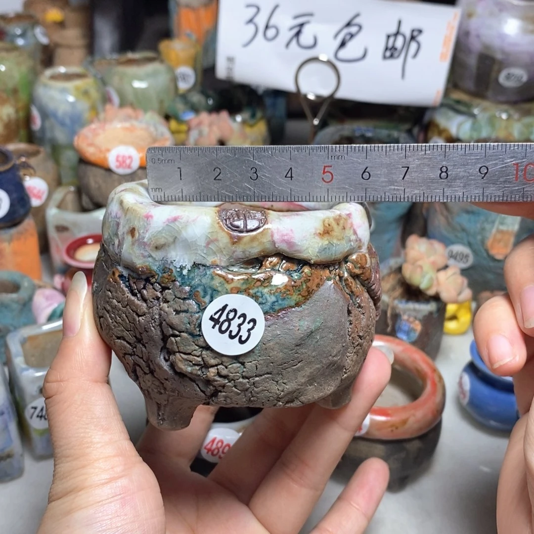 拍3送一个小礼物