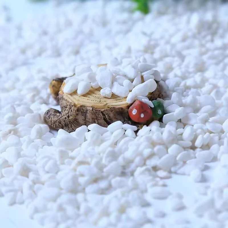 白石子寄居蟹爬宠鱼缸垫材造景天然石