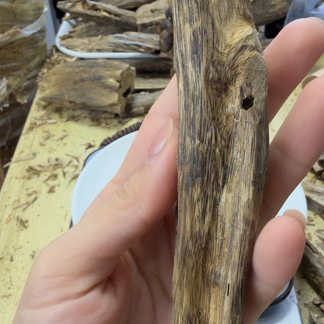 木绿奇楠虫漏22克