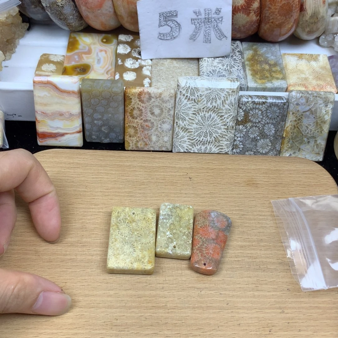 1***1颈饰未镶嵌硅化珊瑚（珊瑚玉）