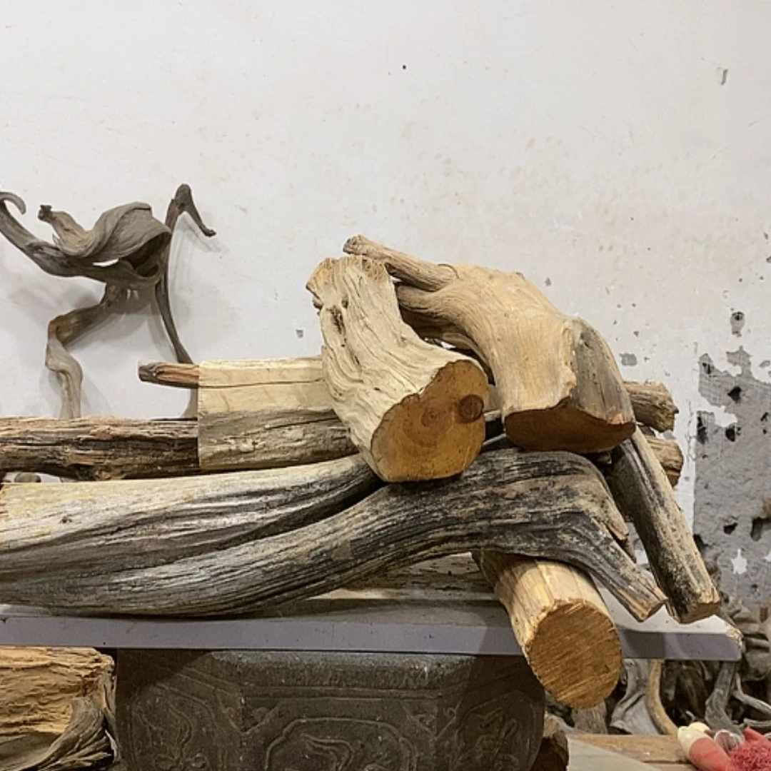 【闪购商品】柏木革**区我们都是好孩子