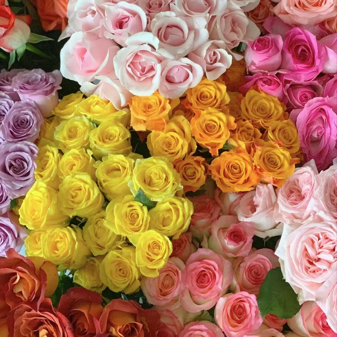 福袋【随机鲜花两把】云南基地鲜切花