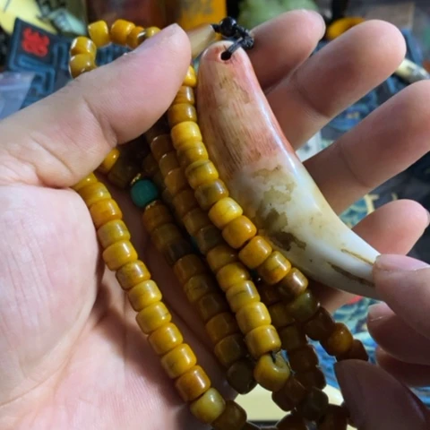 大哥专拍链接一号