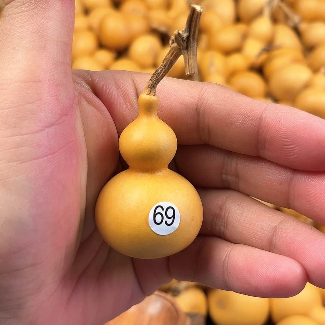 五葫芦葫芦葫芦葫芦69