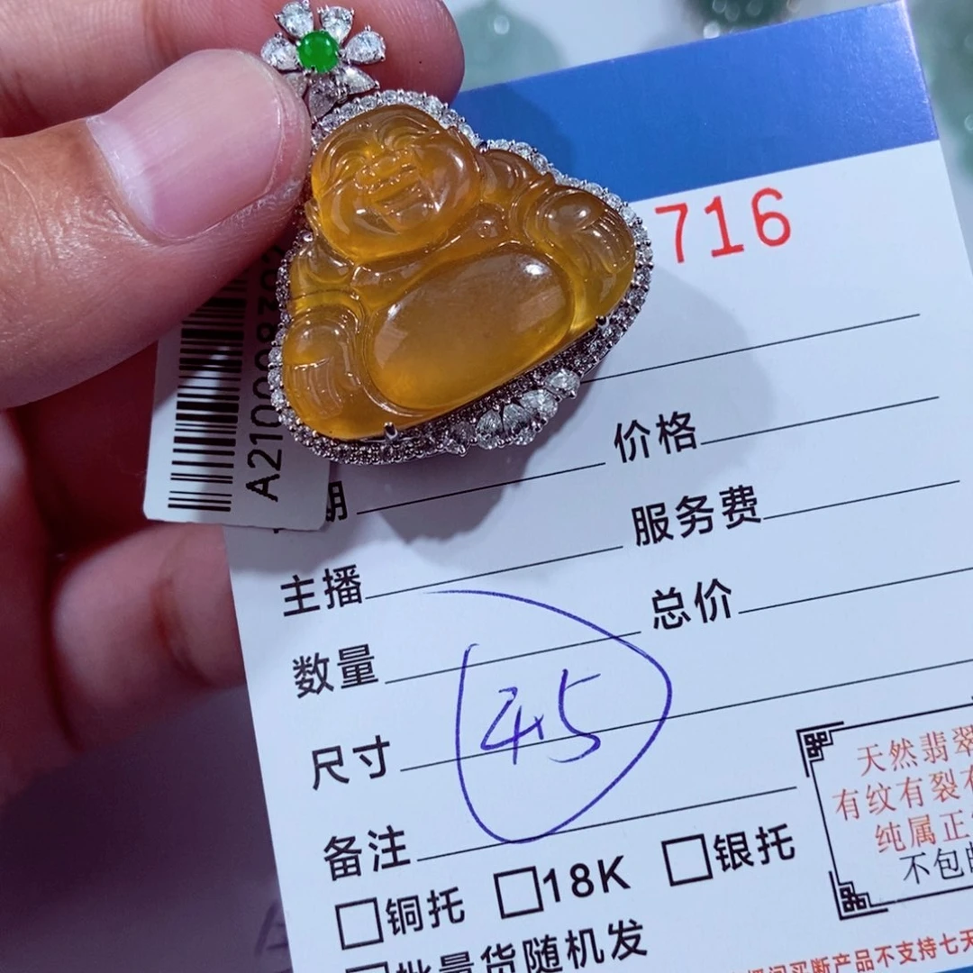 翡翠18K金镶嵌颈饰阿**