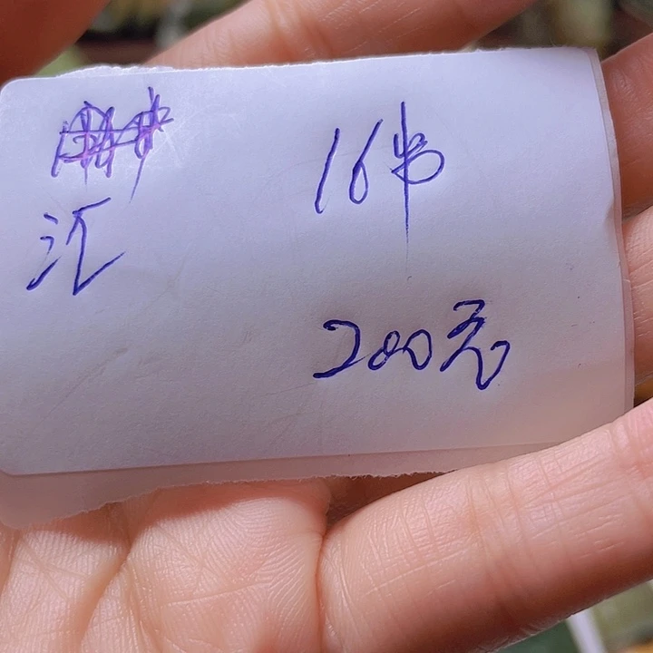 未镶嵌手镯岫岩河磨玉（透闪石质玉）汇*閣