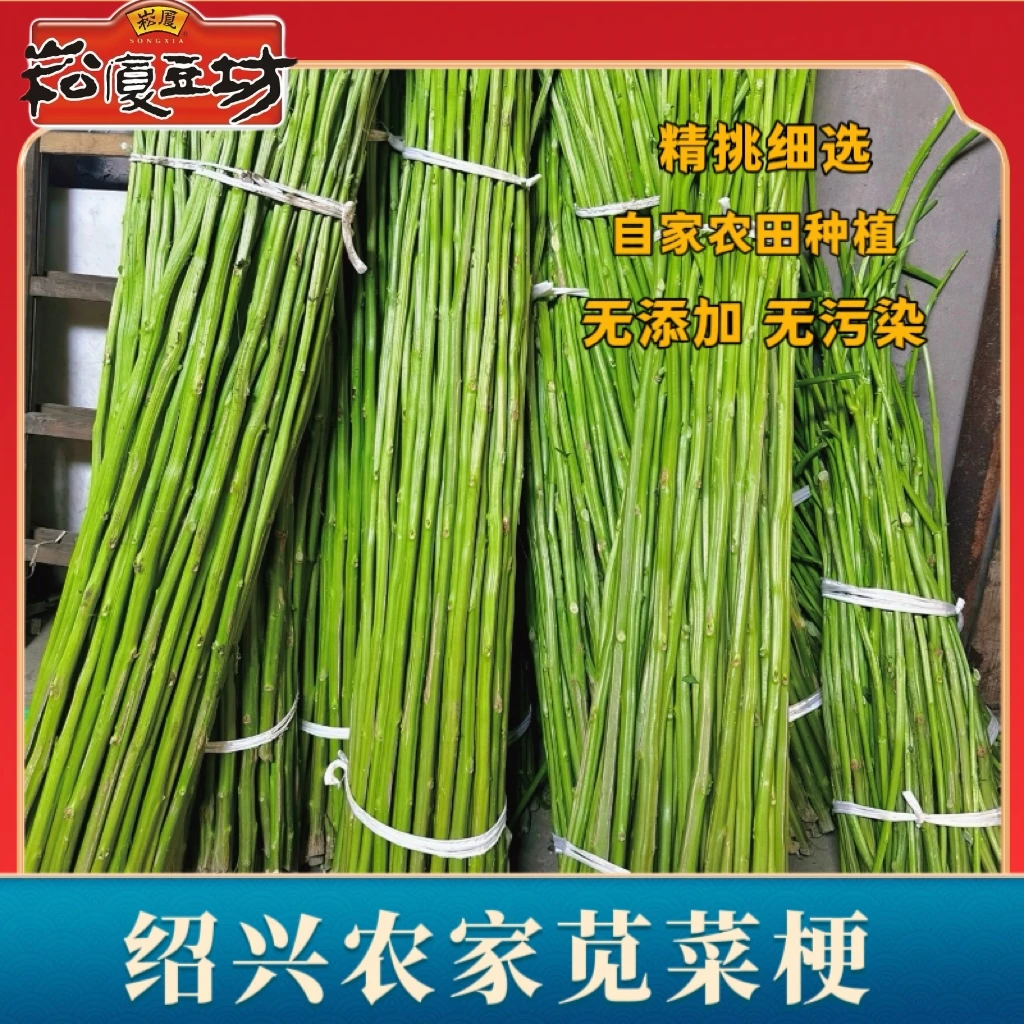 当季苋菜梗新鲜苋菜梗 时令新鲜直达蔬菜现砍 绍兴臭豆腐卤水原料