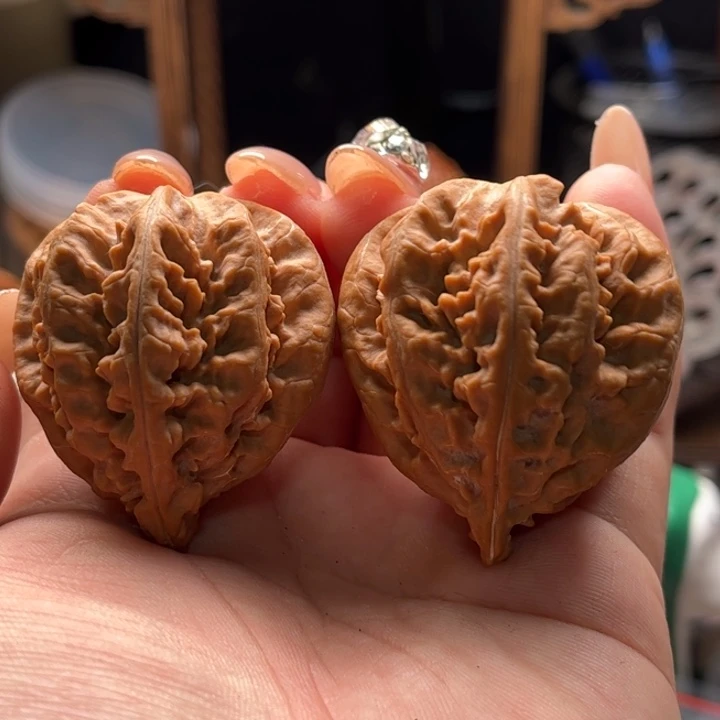 把件文玩核桃楸大胖11