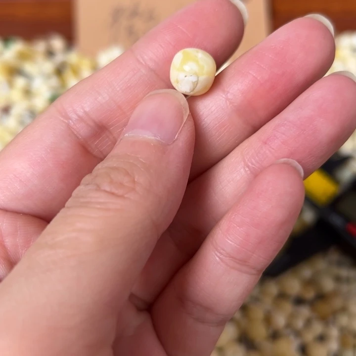 蜜蜡未镶嵌裸石9.2mm一个