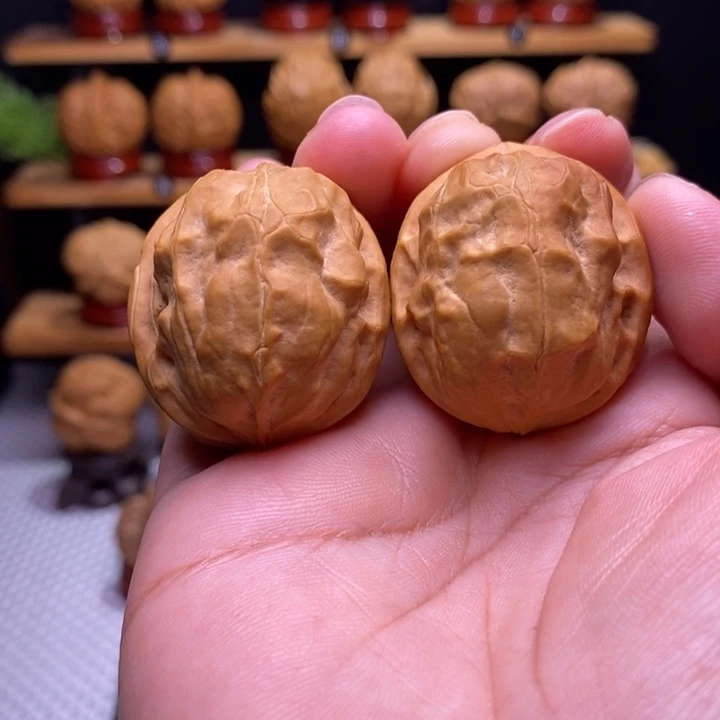 核桃云铁甲壳虫20号
