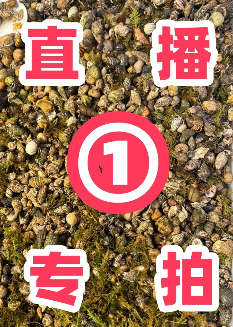 【直播间专拍】宠物用品 直播链接请按主播报告拍下