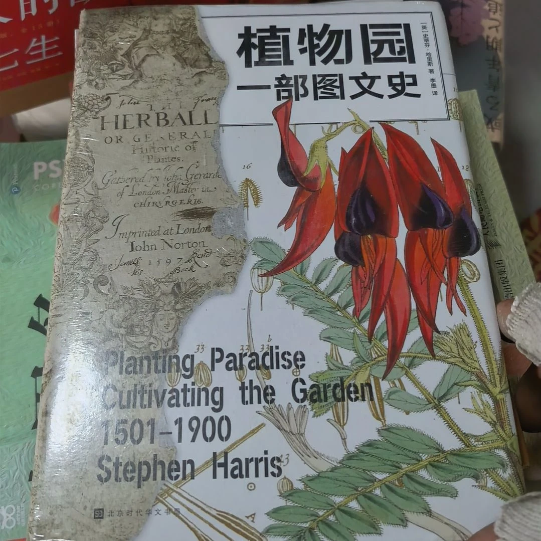 一部图文史精装塑封未拆封