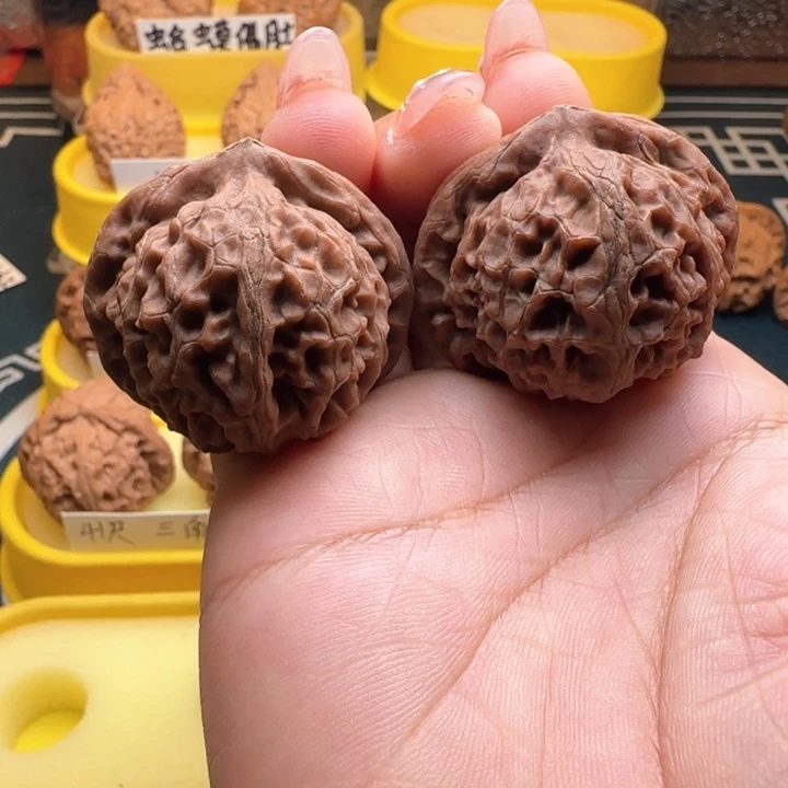 客*弯弯核桃共等弯弯核桃，全屏共等
