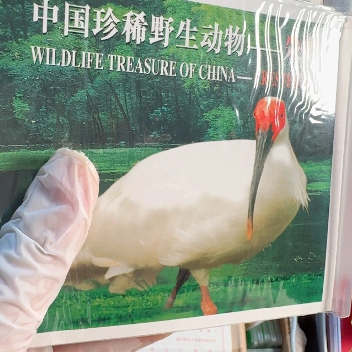 其他普通金属朱鹮卡册