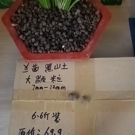 微***尘兰菌黑山土大颗粒6.6斤