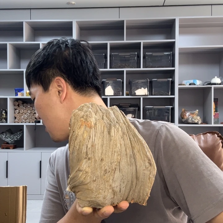 有机玻璃崖柏毛料