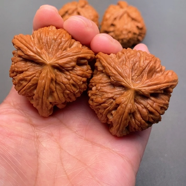 木质类去***。核桃核桃