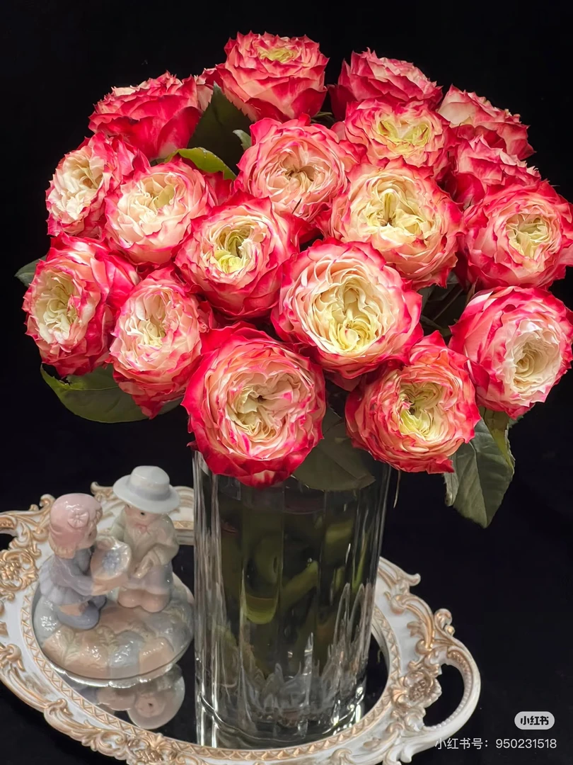 【好物鲜花】稀有苹果杰克10只