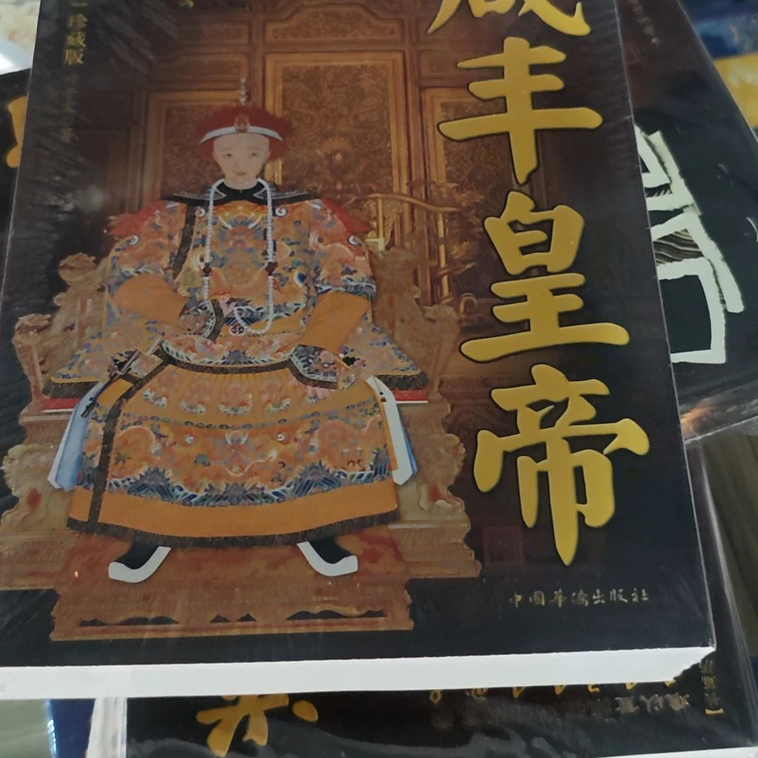 咸丰皇帝平装库存书库存书