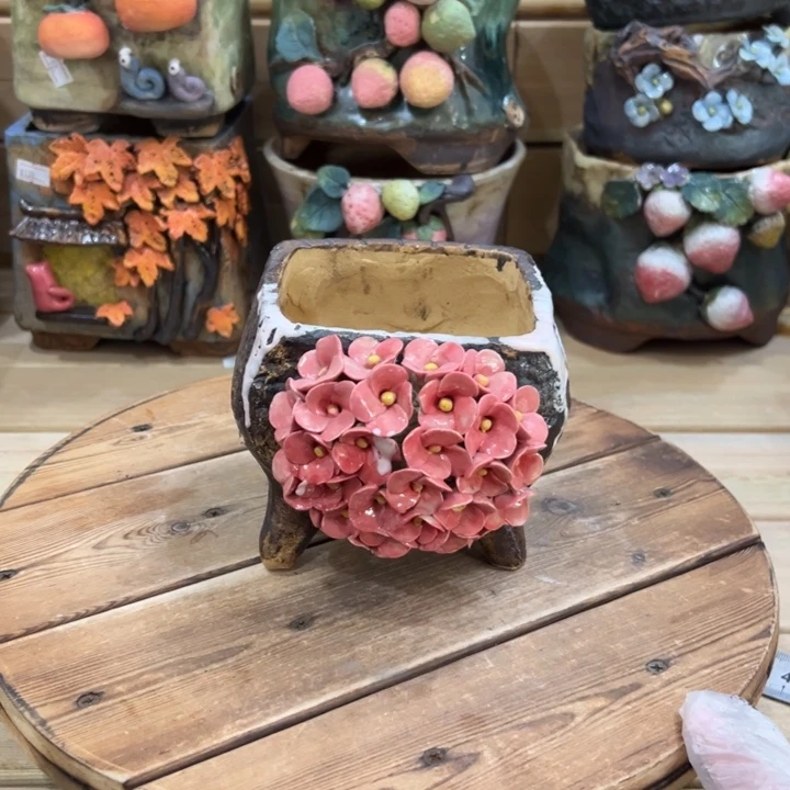 陶然多肉花盆百搭