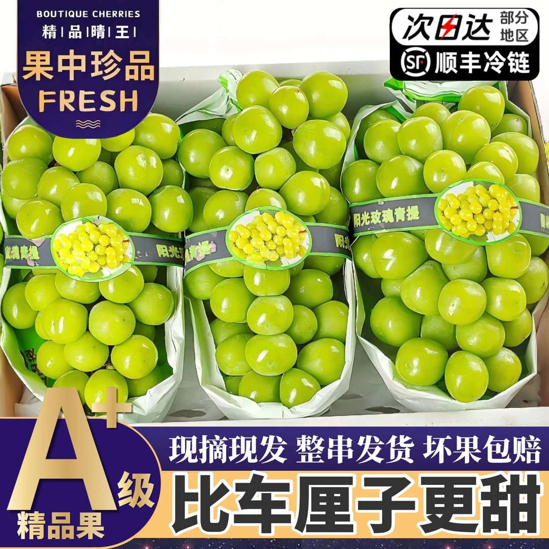 顺丰次日达【5斤大果整箱】精品阳光玫瑰葡萄当季新鲜现摘3/5斤Q