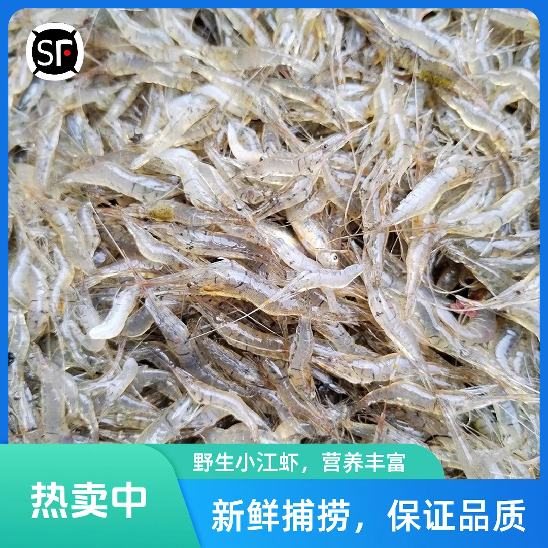 东北原生态冷水小江虾活体速冻发货多规格可选