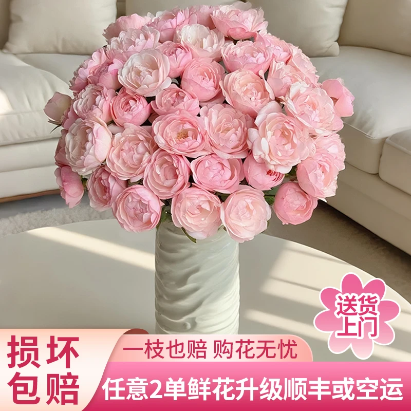 【黄梦宇】草莓杏仁饼玫瑰全场鲜花任意满两单及以上包邮送货上门