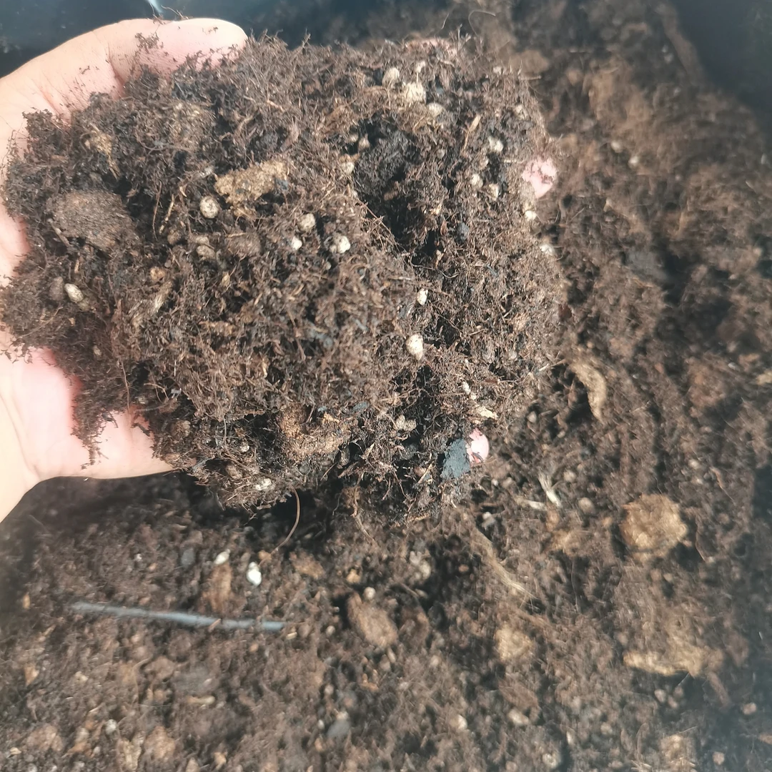 密叶猴耳环专用土疏松透气适合家庭盆栽绿植种植10L (约4-5斤)