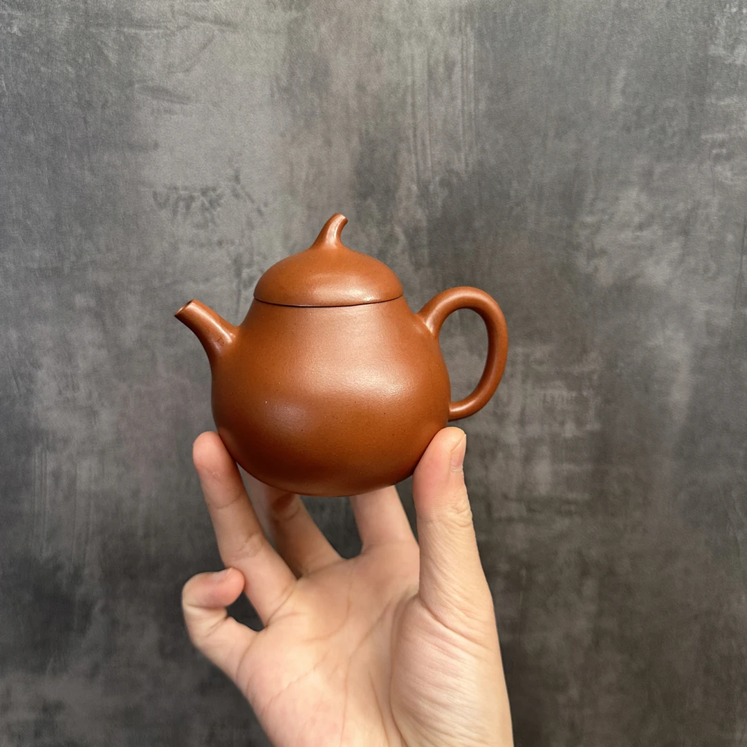 茄瓜 红皮龙 150cc左右