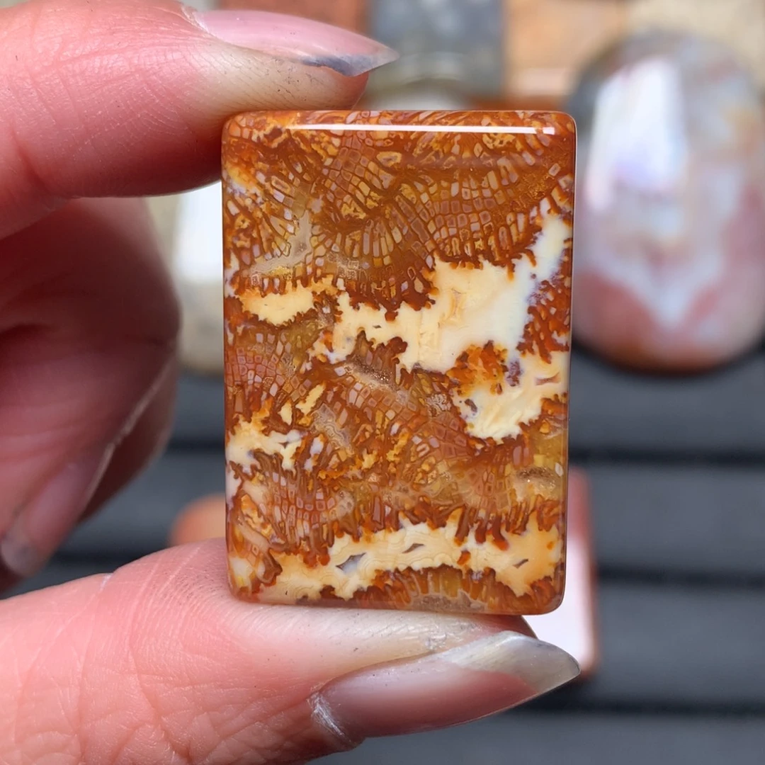 ＾***＾硅化玉未镶嵌吊坠无事牌手排平安扣