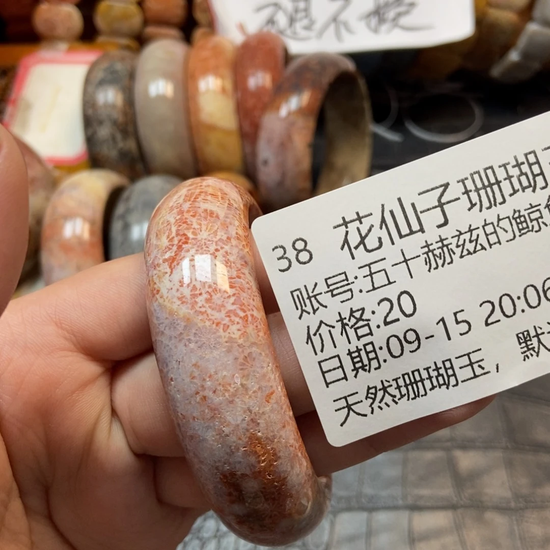 五***鱼未镶嵌硅化珊瑚（珊瑚玉）珠宝半成品38