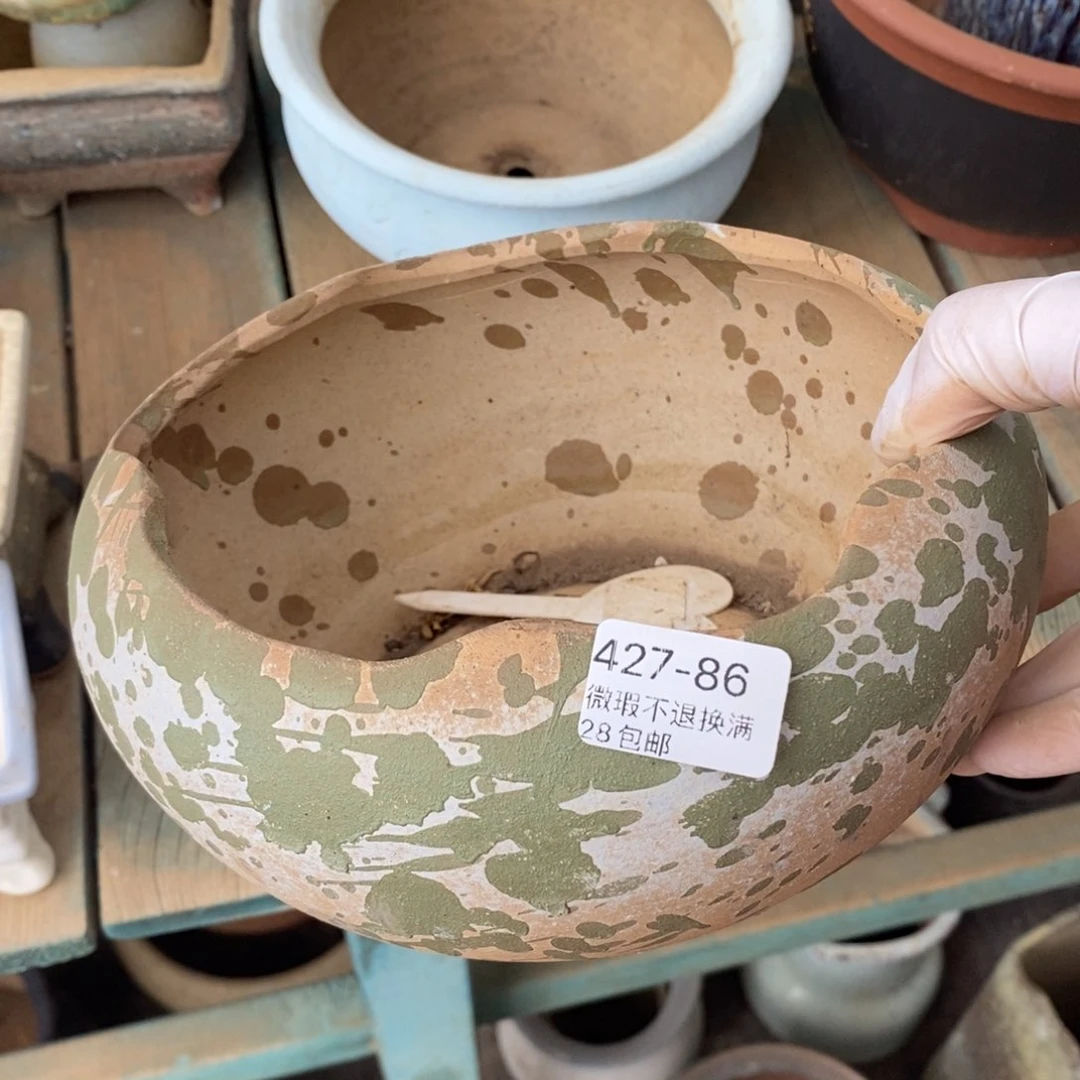 86号多肉盆一个呀