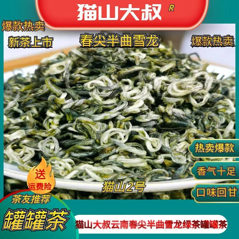 【安万推荐新猫山2号】2025新茶云南春尖半曲雪龙一芽茶甘肃罐罐茶