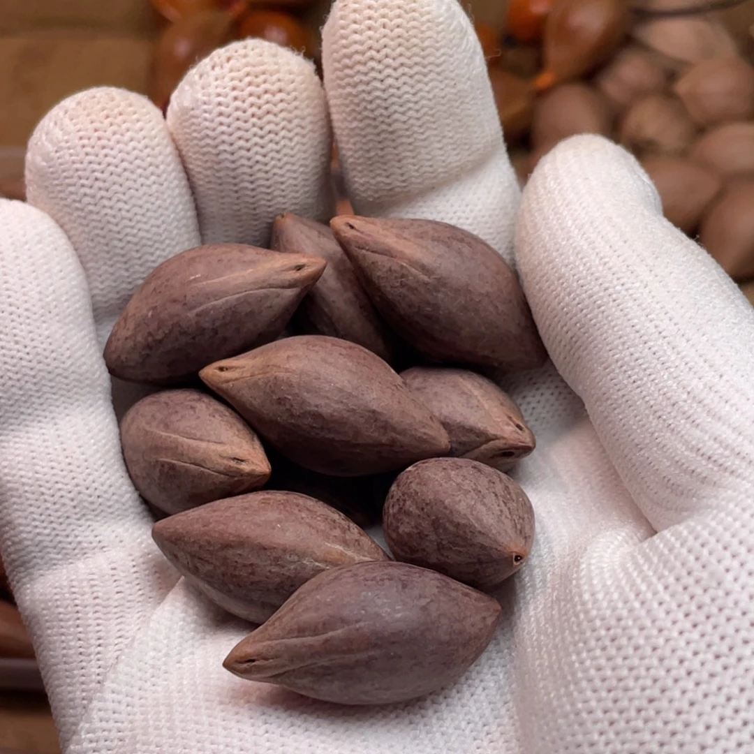 熊***喜橄榄核手串/手链1