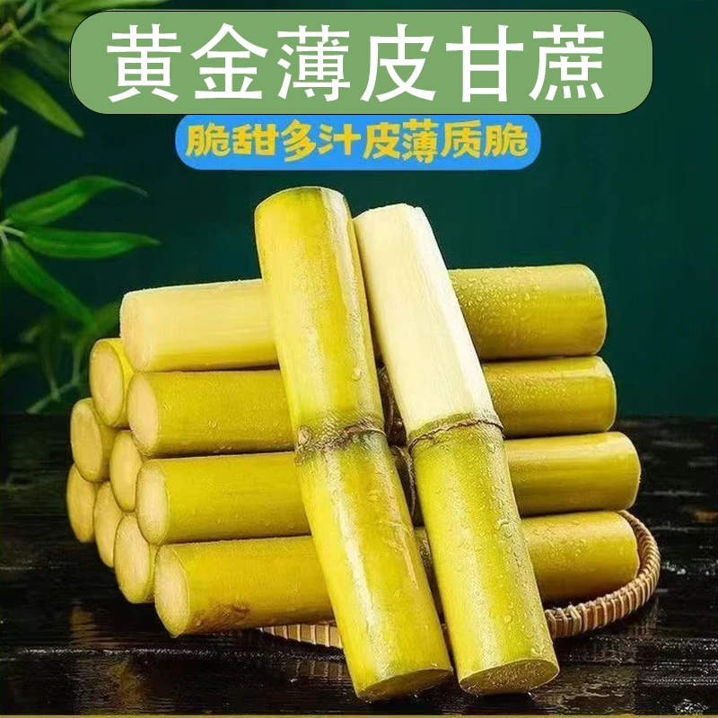 黄金甘蔗西双版纳甘蔗云南手撕甘蔗甜脆中段
