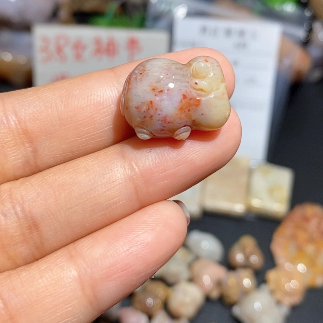 【闪购商品】硅化玉颈饰未镶嵌