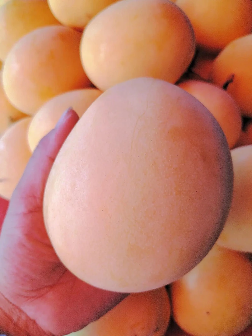 百色苹果芒新鲜现摘脆甜多汁当季水果