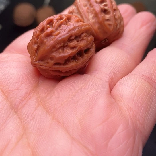 神**哥核桃核桃核桃核桃