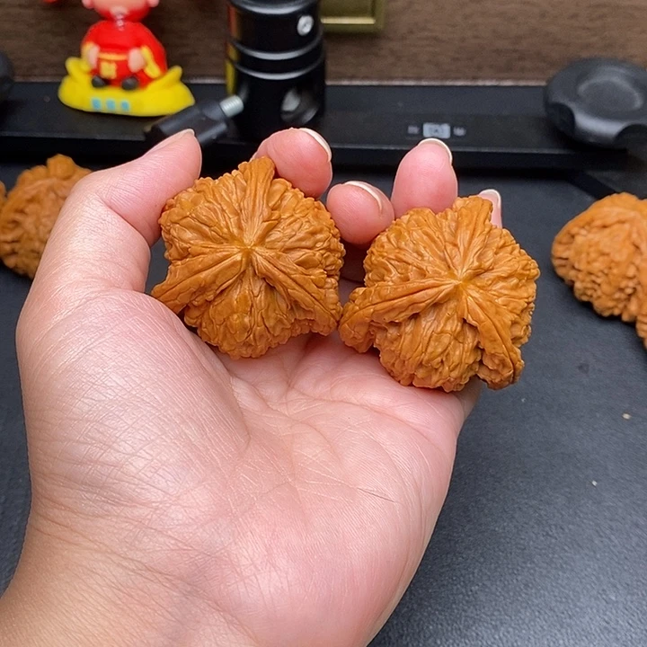 芝***排把件文玩核桃白奔