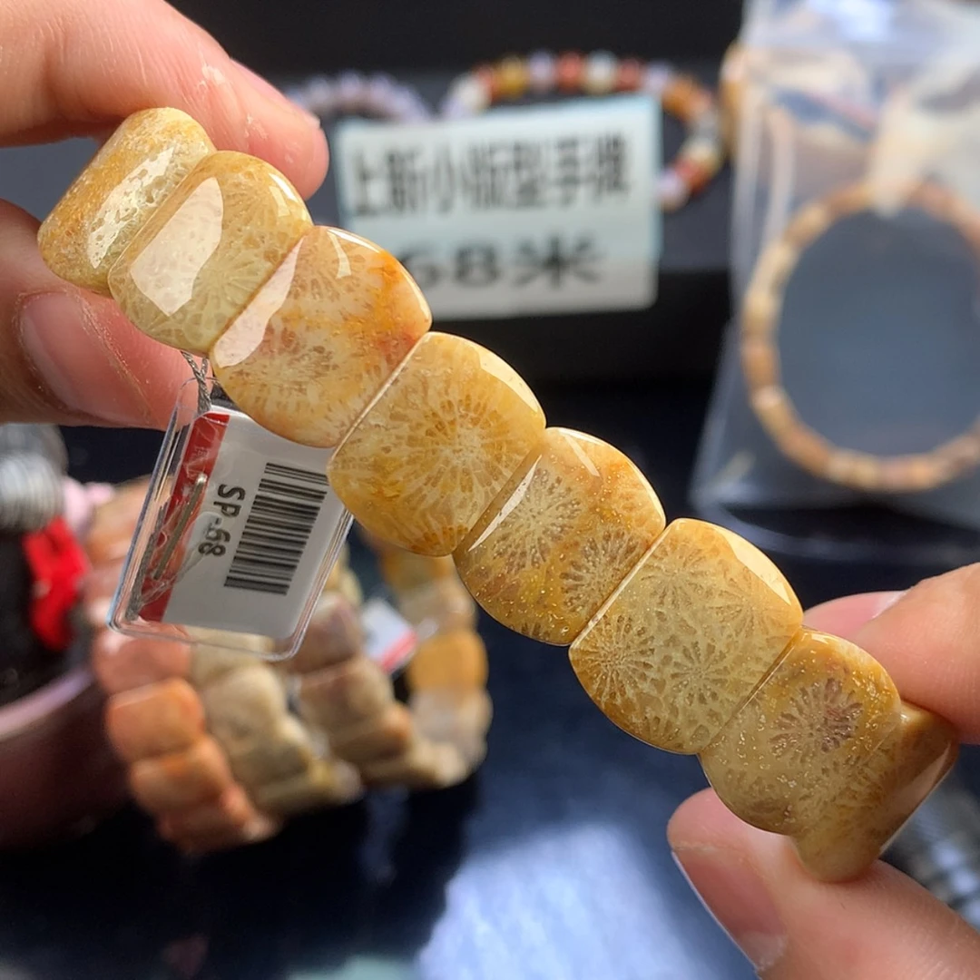 【闪购商品】硅化珊瑚（珊瑚玉）未镶嵌颈饰39号