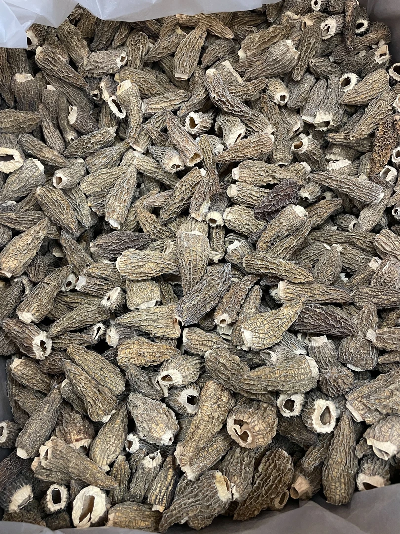 七妹精选头期货羊肚菌6-8cm干货250克-500克
