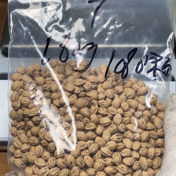 吊坠柏香籽/百香籽