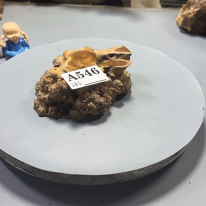 伍***堂大果紫檀（缅甸花梨）