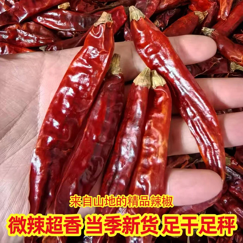 【买半斤送半斤】精品干辣椒特辣特香川菜火锅炒菜特色辣椒干货1斤